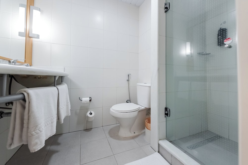 Ibis Novo Hamburgo 44/47