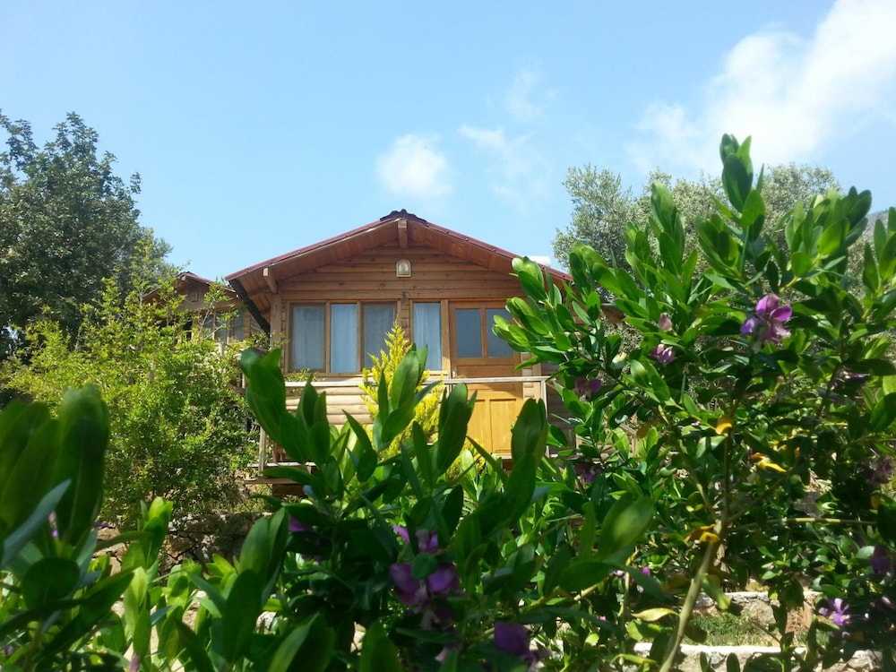 Olive Garden Kabak 39/50