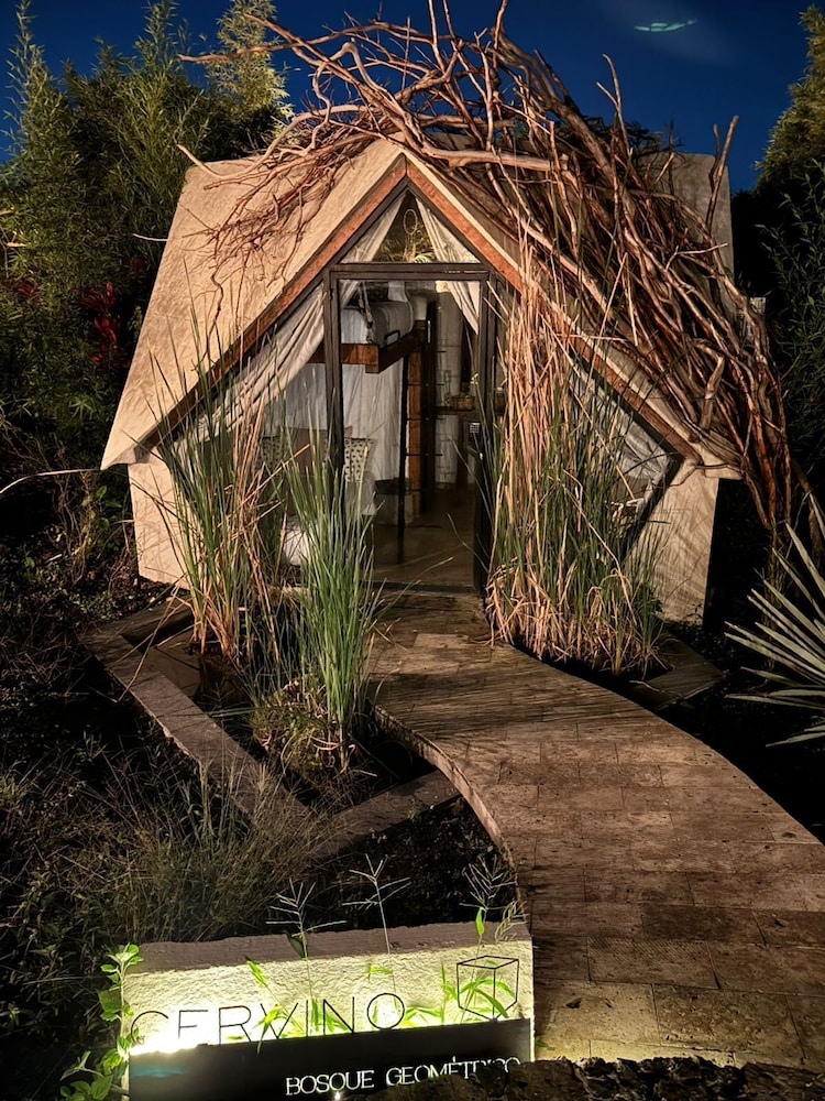 Bosque Geometrico 1/50