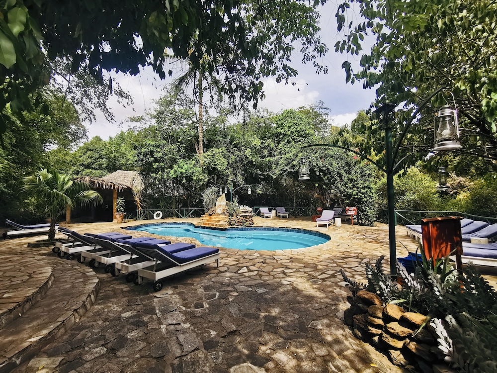 Fig Tree Camp 40/45