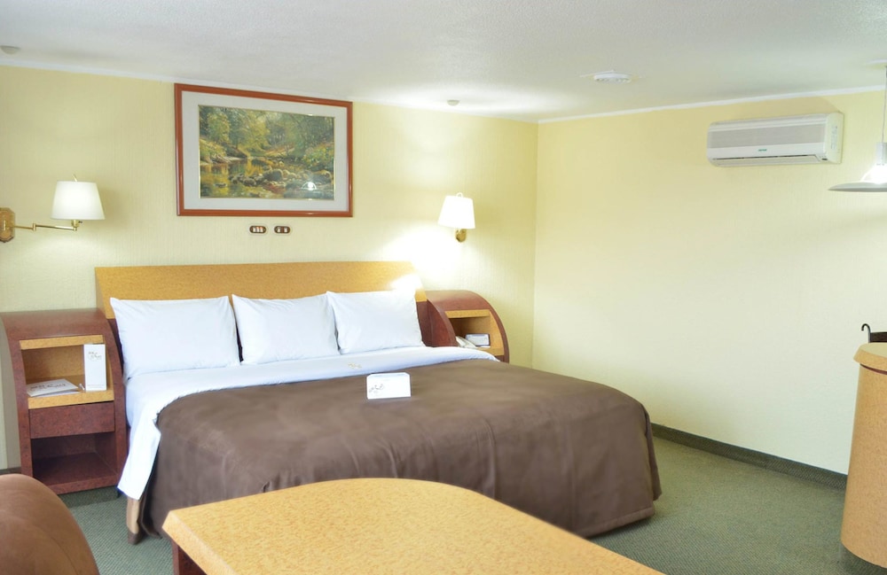 Real Del Sur Hotel 11/50