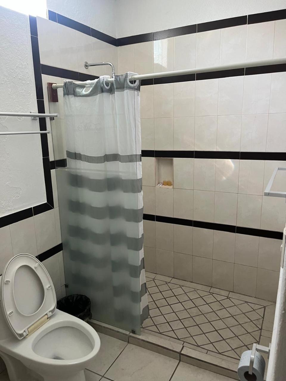 Hotel Albatros Palace 23/24