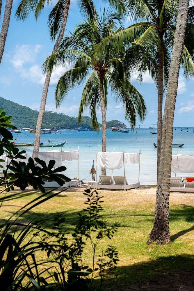 Koh Tao Cabana 51/54