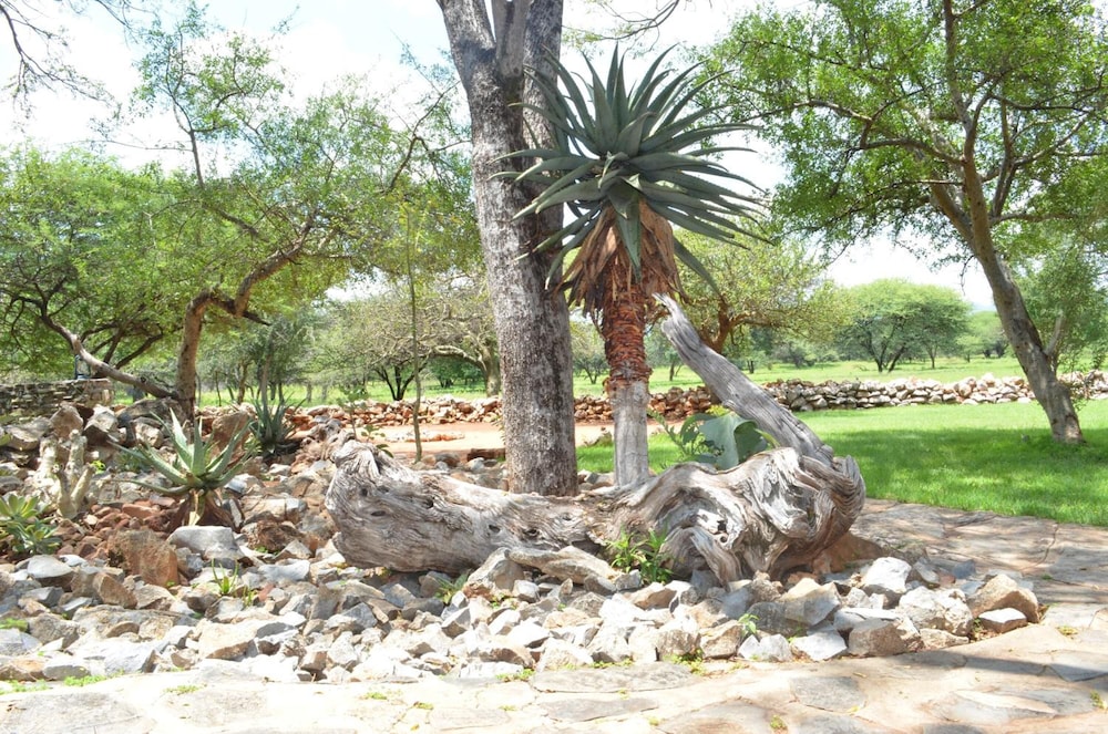 Ohange Namibia Lodge 36/50