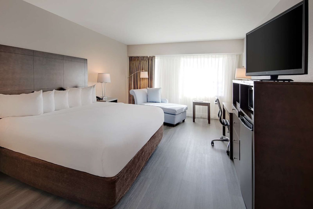 STANDARD, KING BED, ACCESSIBLE
