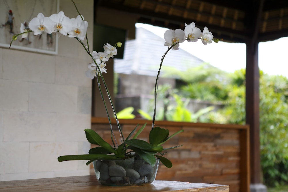 Villa Kayu Lama 19/50