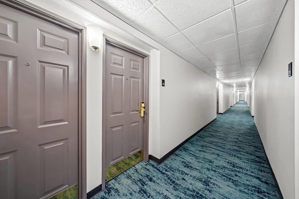 MainStay Suites Foxboro - Mansfield 3/37