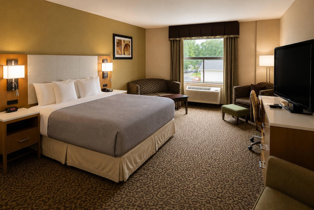 Suite, King Bed