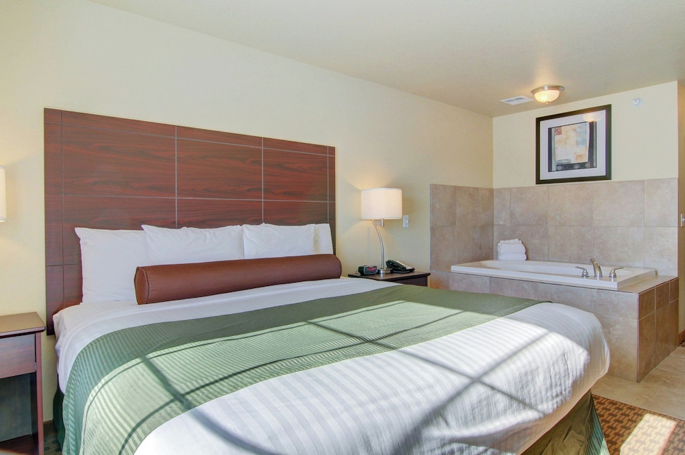 Cobblestone Inn & Suites - Carrington 11/67