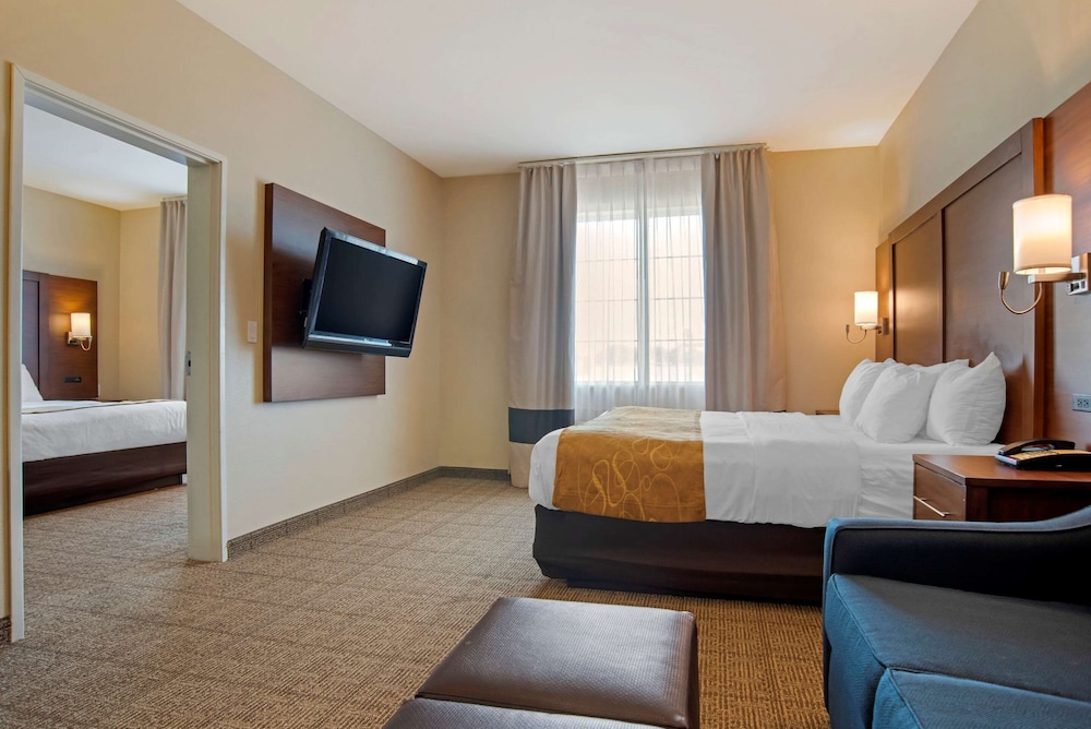 Comfort Suites Alexandria North 19/36