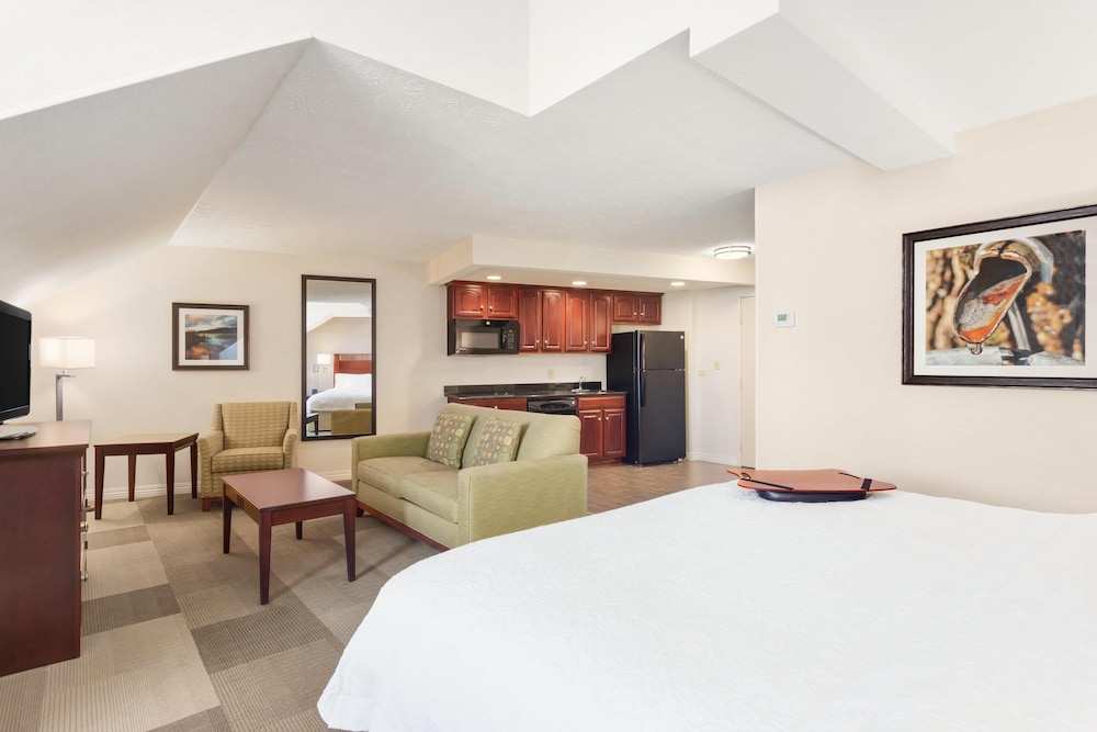 Studio, Suite, King Bed, Parlor, Sofa, Kitchenette