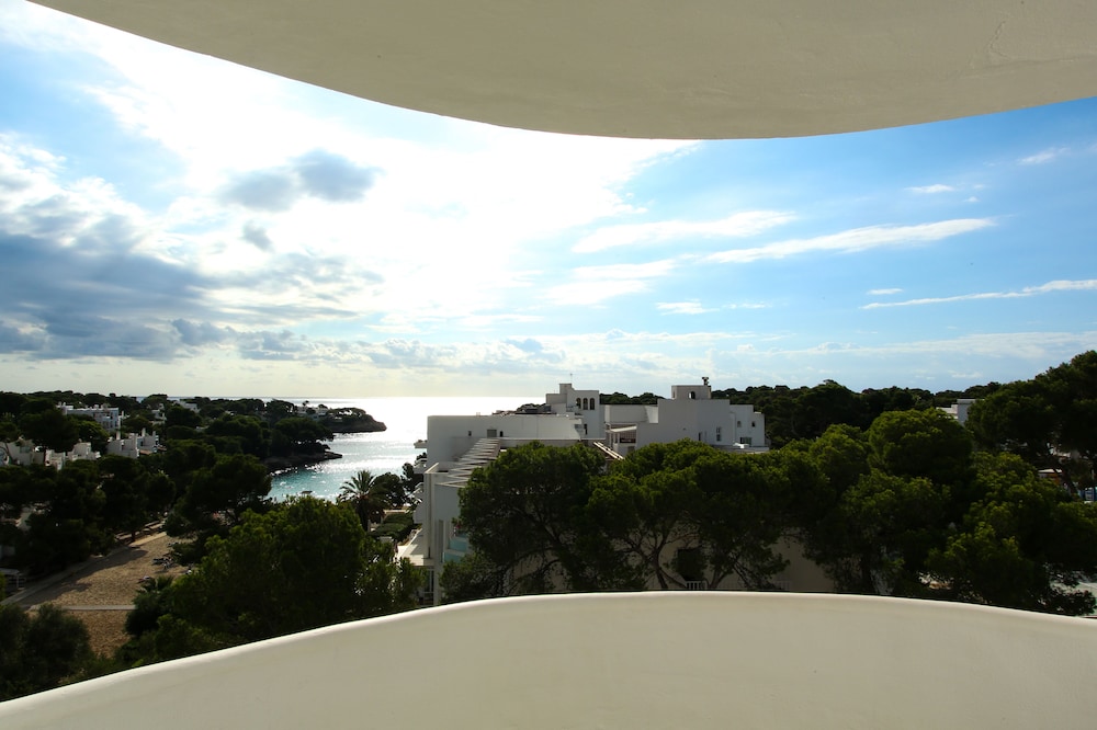 Sentido Fido Tucan - Adults Only 45/50
