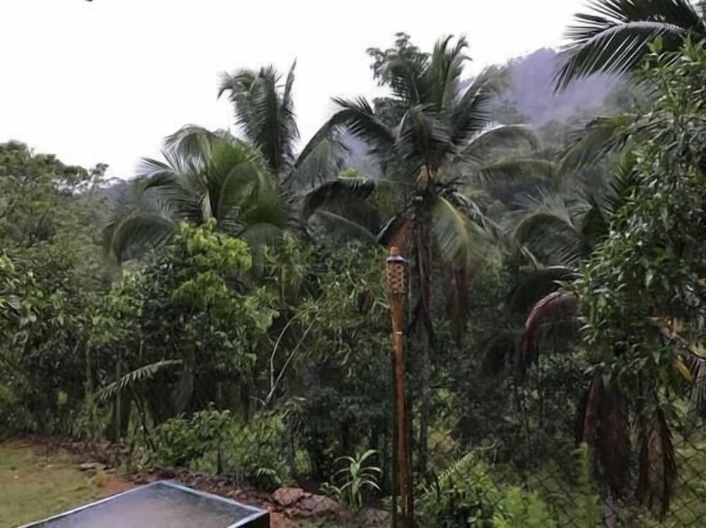Sinharaja Rainforest View Villas 38/50