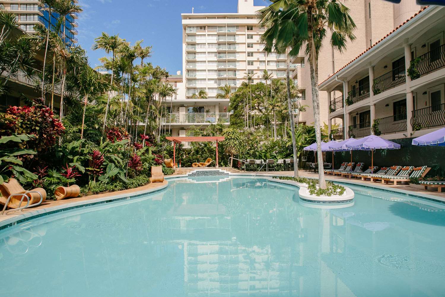 Wayfinder Waikiki 42/45