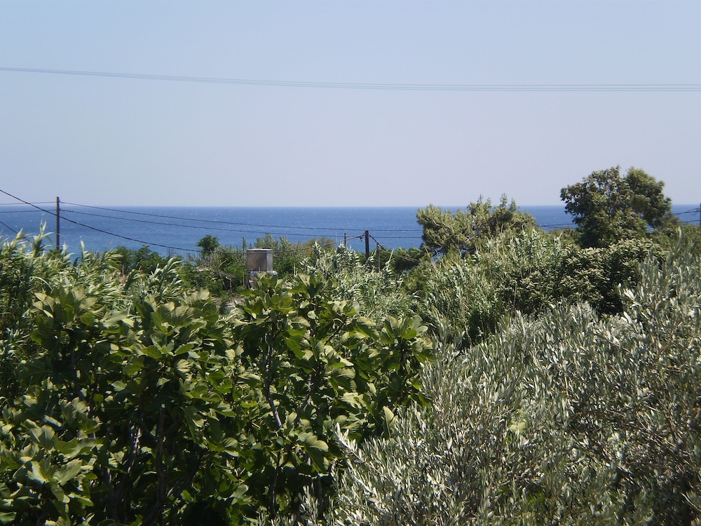 surroundings