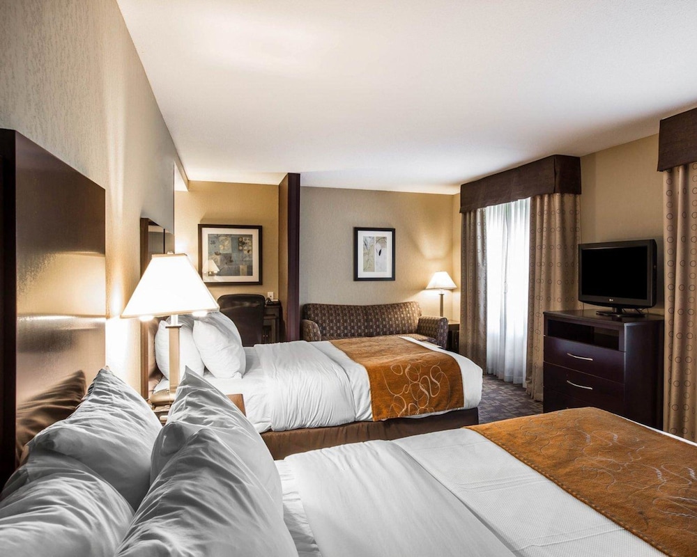 Comfort Suites Whitsett - Greensboro East Whitsett NC 18/41