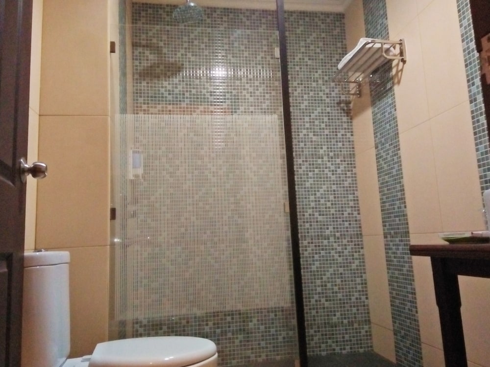 ARSELA HOTEL PANGKALAN BUN 8/42
