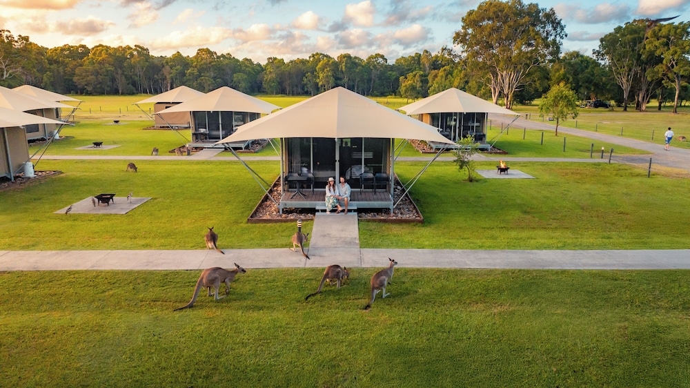 Habitat Noosa Everglades Ecocamp 53/65