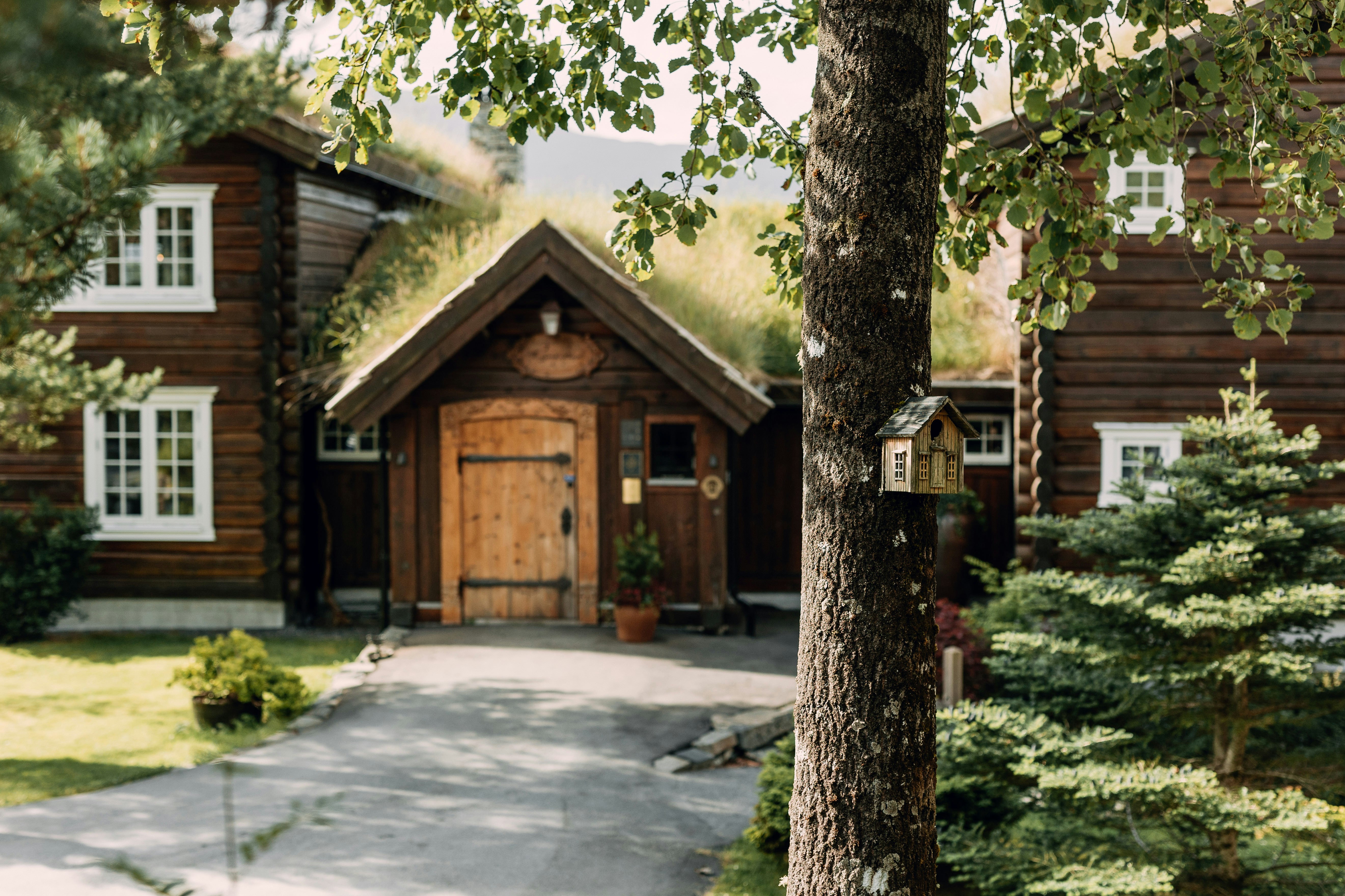 Storfjord Hotel 50/50
