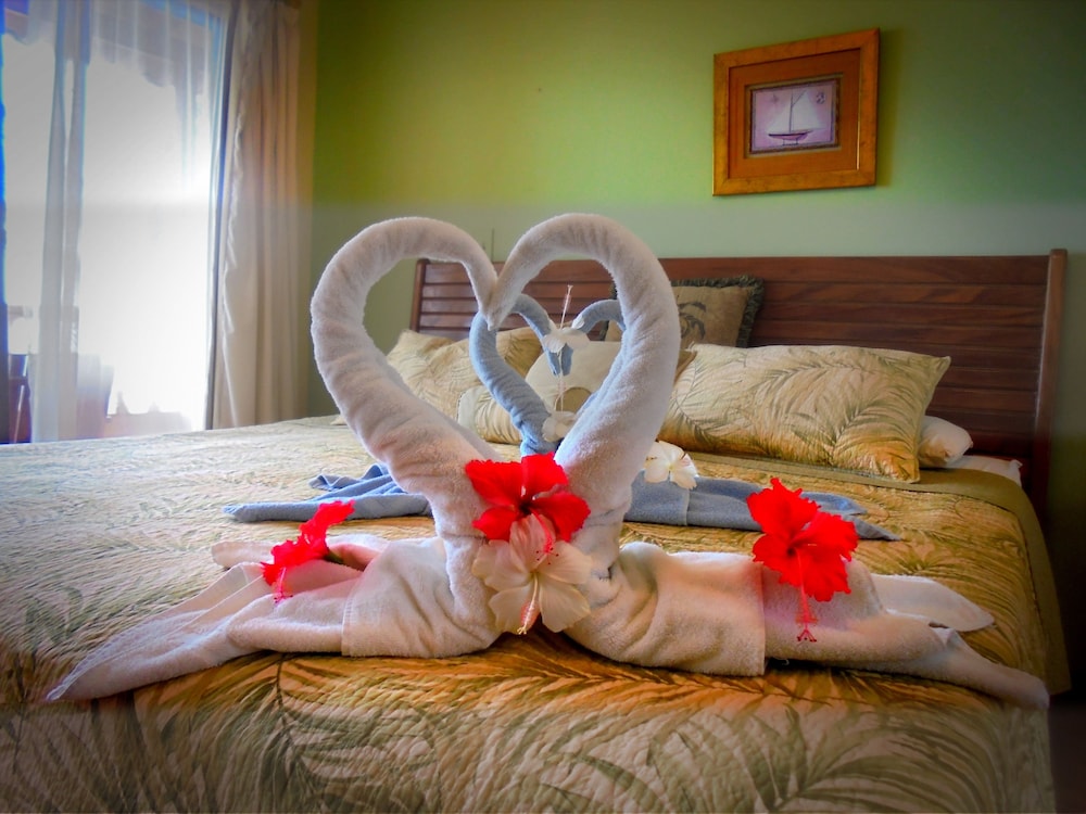 Hotel Delfin Playa Bejuco 12/50