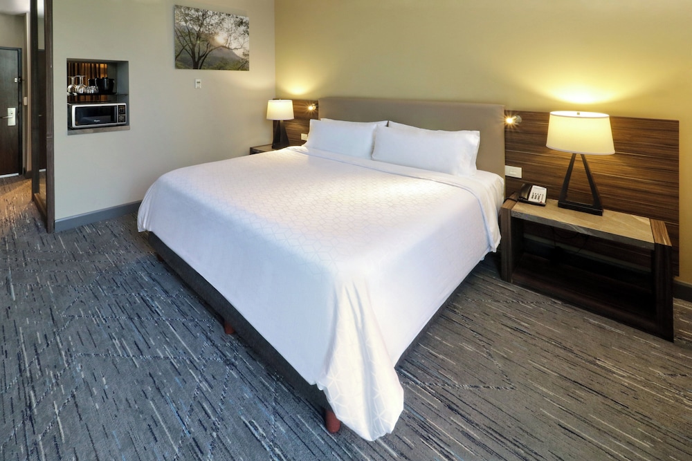 Standard, King Bed, Extra Floor Space, Holiday Inn Express Suites Monterrey Valle 4/10