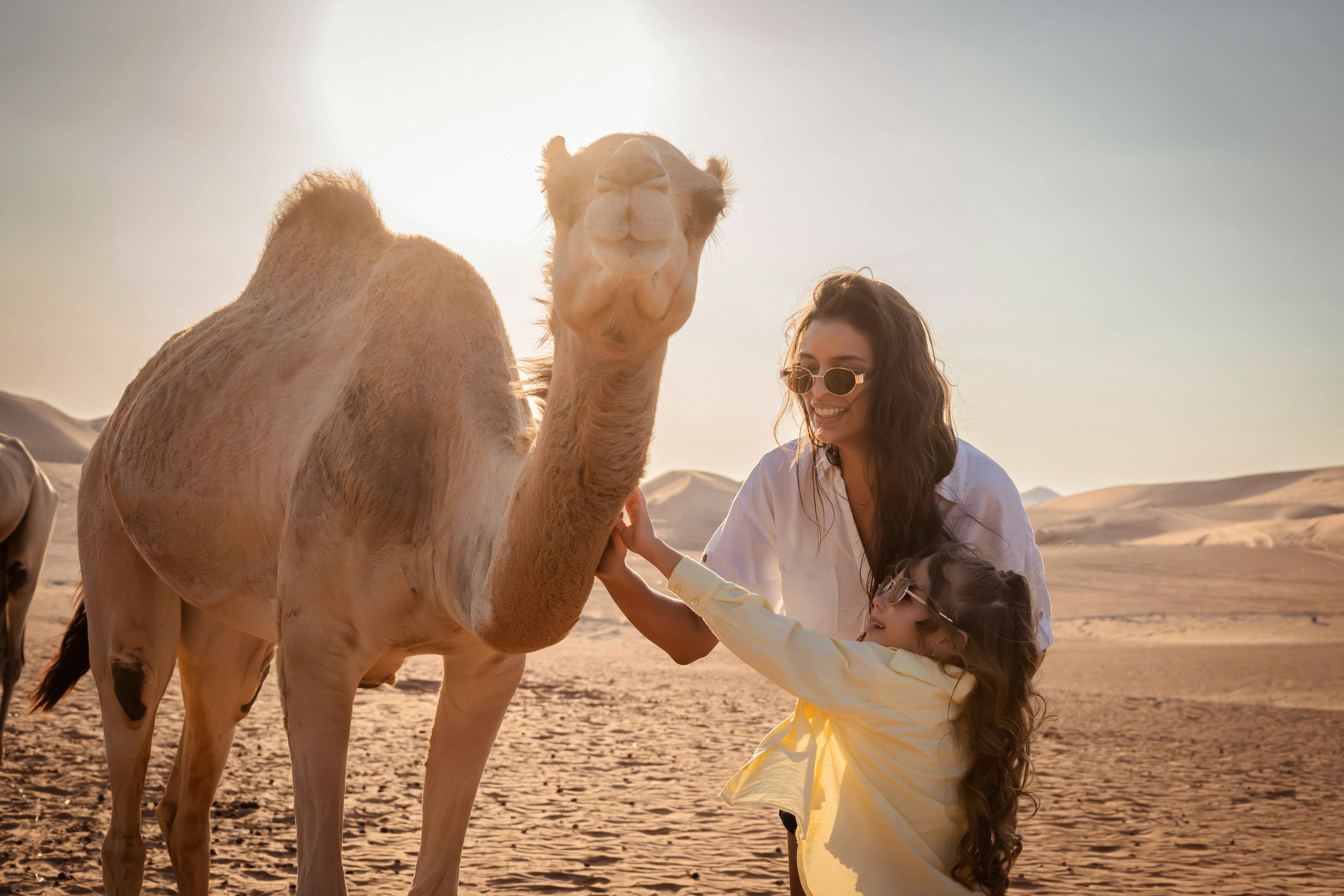 Al Ain Rotana Hotel 46/50