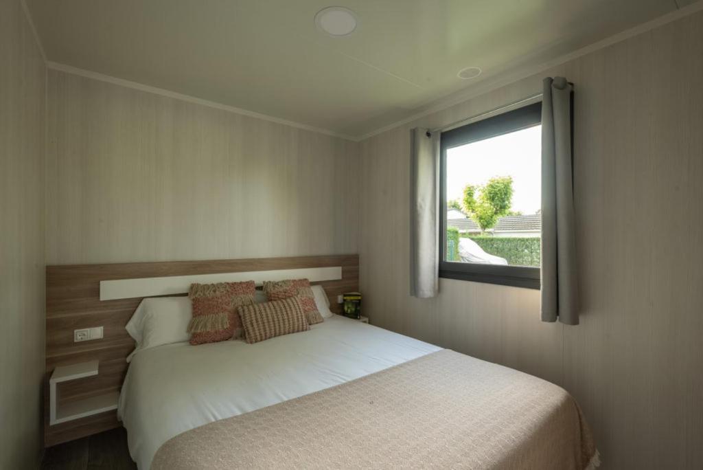 Room, Pet Friendly, Accessible