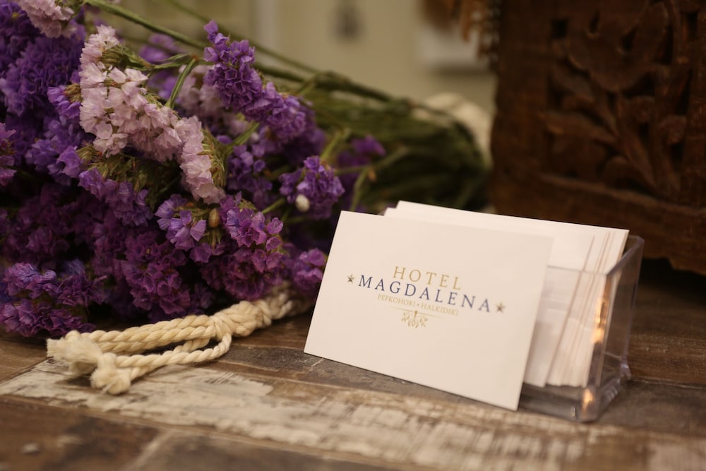 Hotel Magdalena 30/60