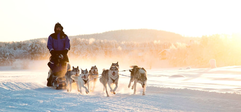 Northern Lights Village Levi 26/48