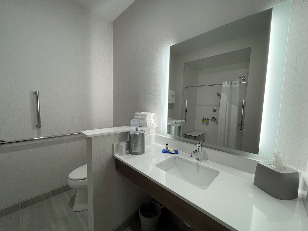 Holiday Inn Express & Suites Ft. Smith Airport, an IHG Hotel 74/75