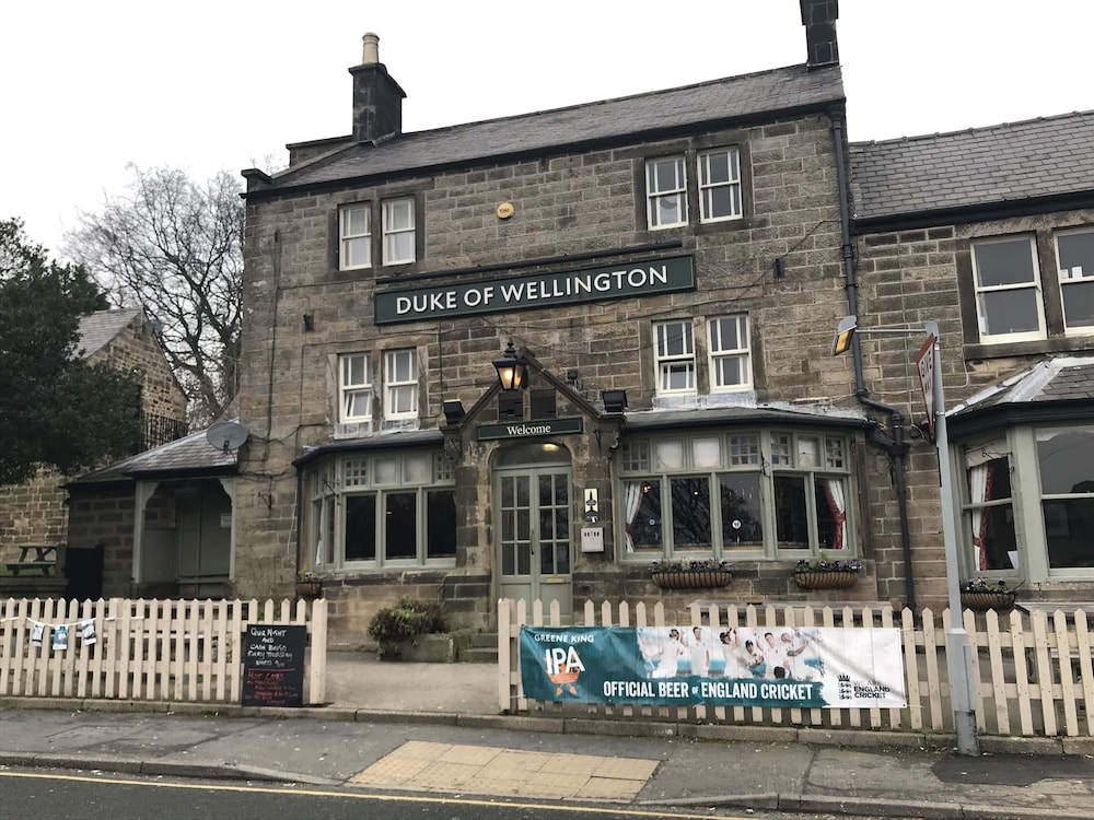 The Duke of Wellington 1/15