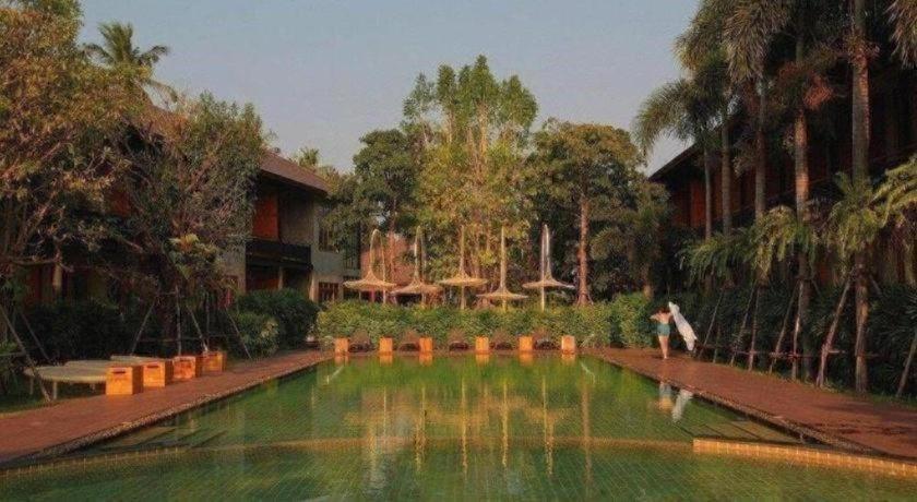 The Buffalo Amphawa 44/54
