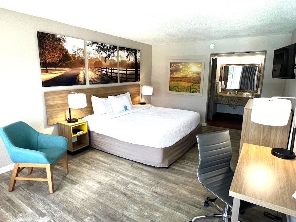 Room, King Bed