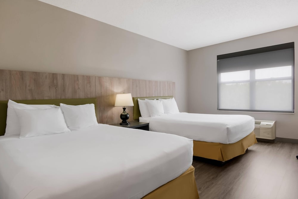 1 BEDROOM, SUITE