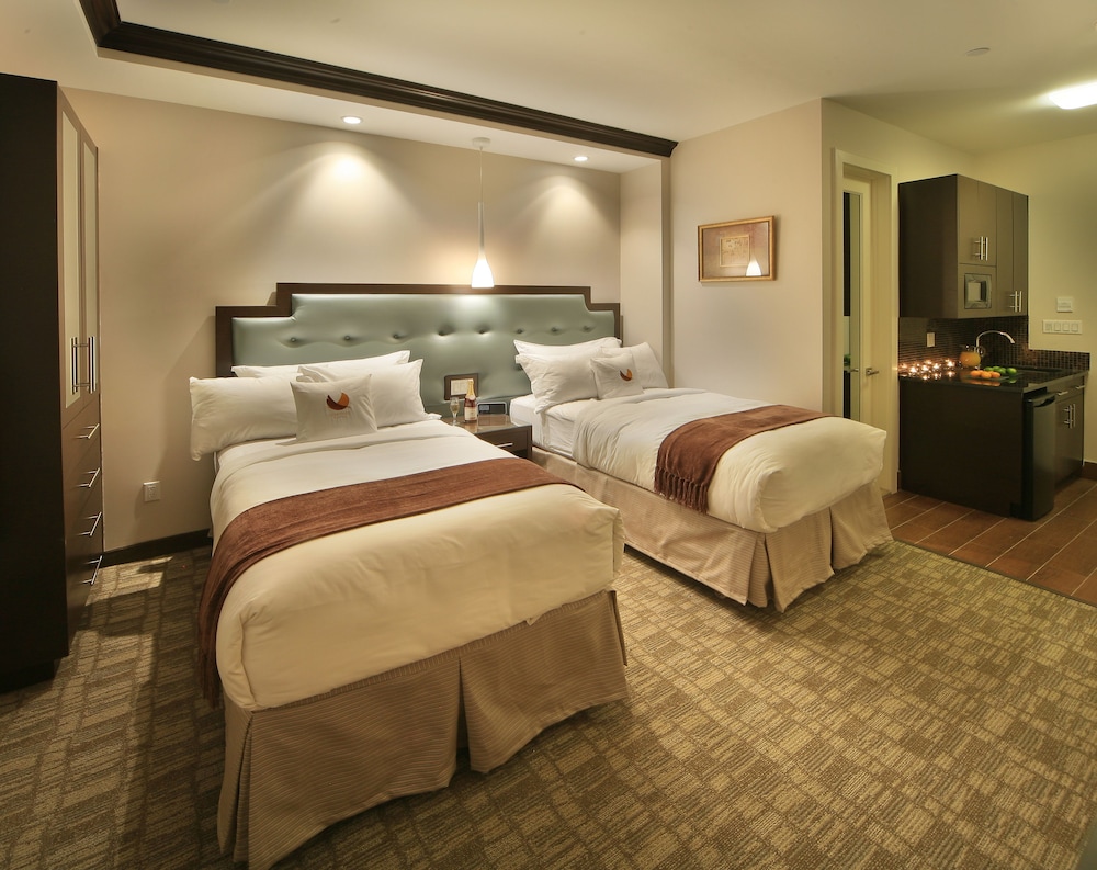 Condor Hotel by LuxUrban, Trademark Collection 20/50