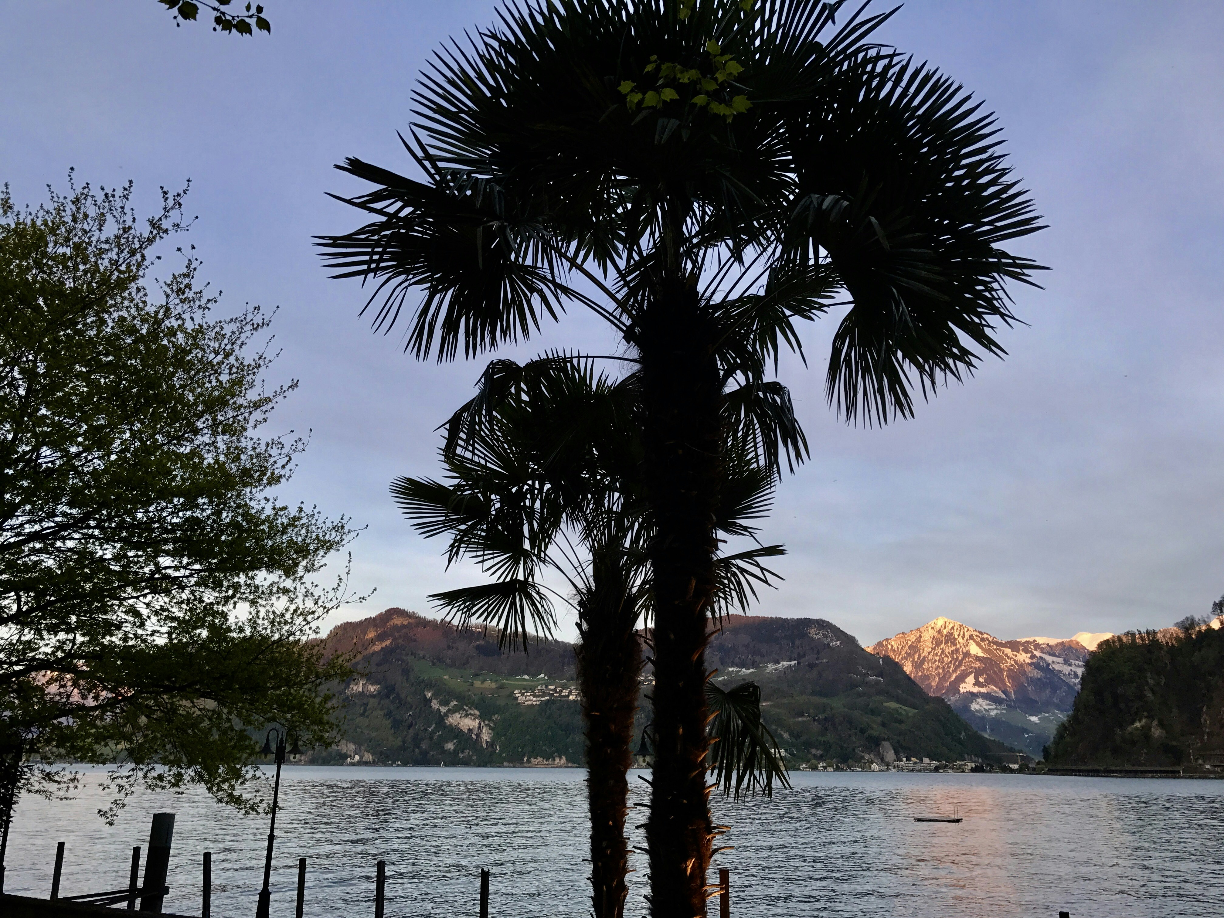 Seehotel Pilatus 24/31