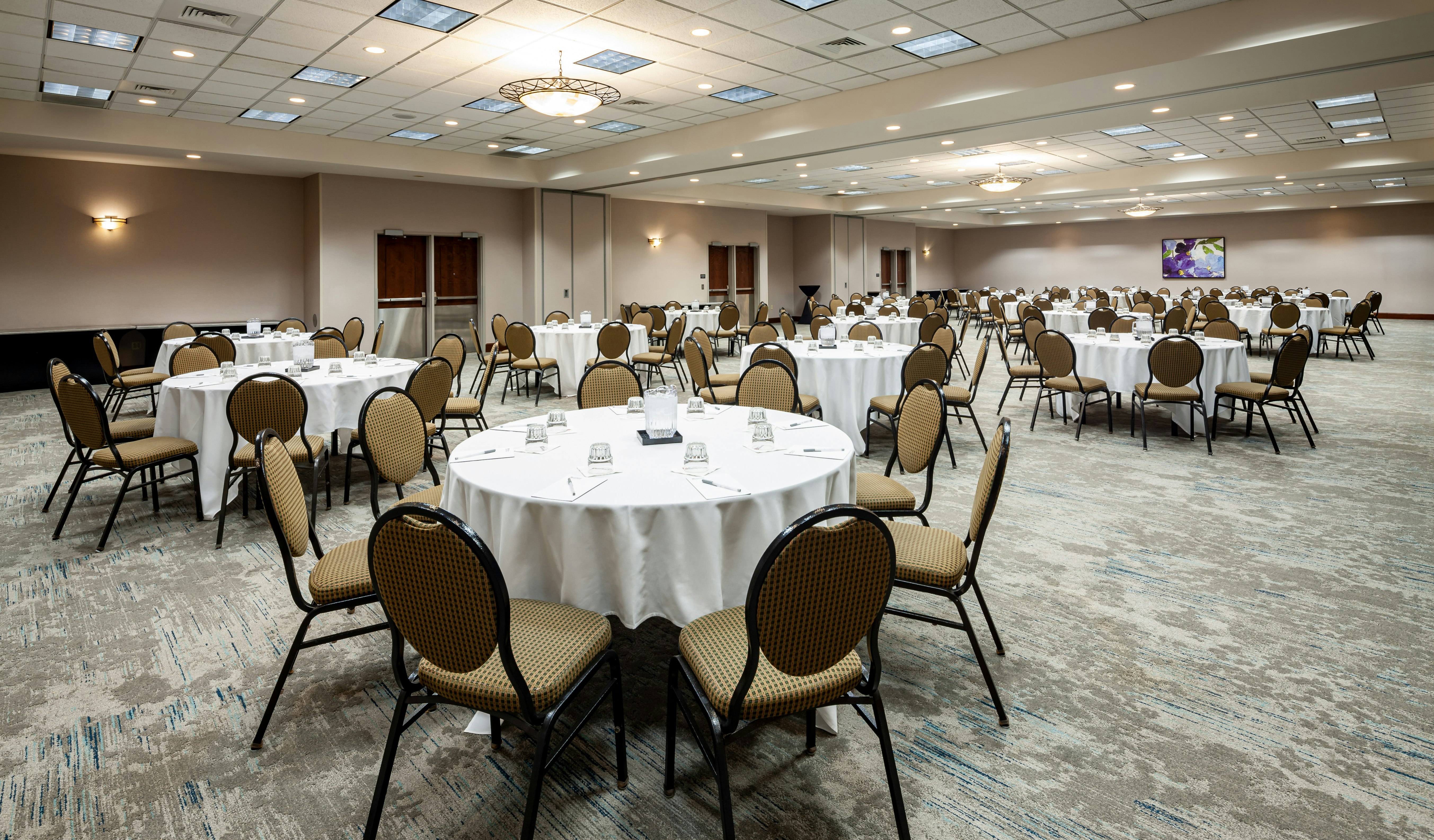 Hilton Garden Inn Chicago Ohare Airport 50/56