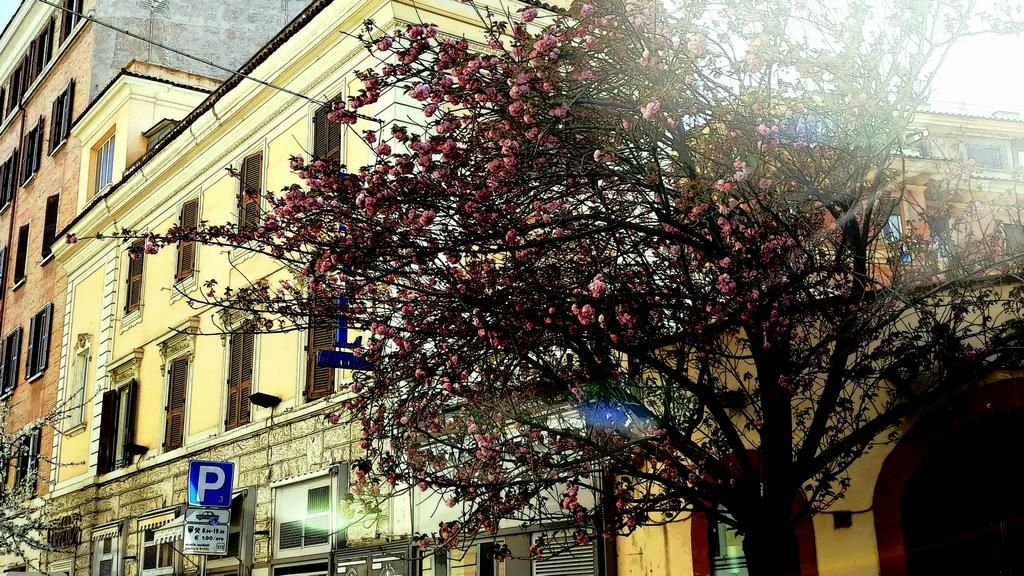 Hotel Coppede 22/25