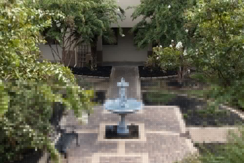 Vineyard Court Designer Suites Hotel 6/56