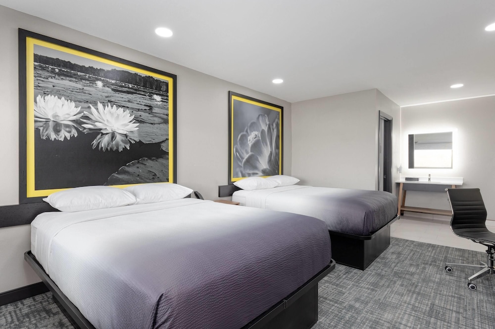 Super 8 by Wyndham Lubbock Airport 31/54
