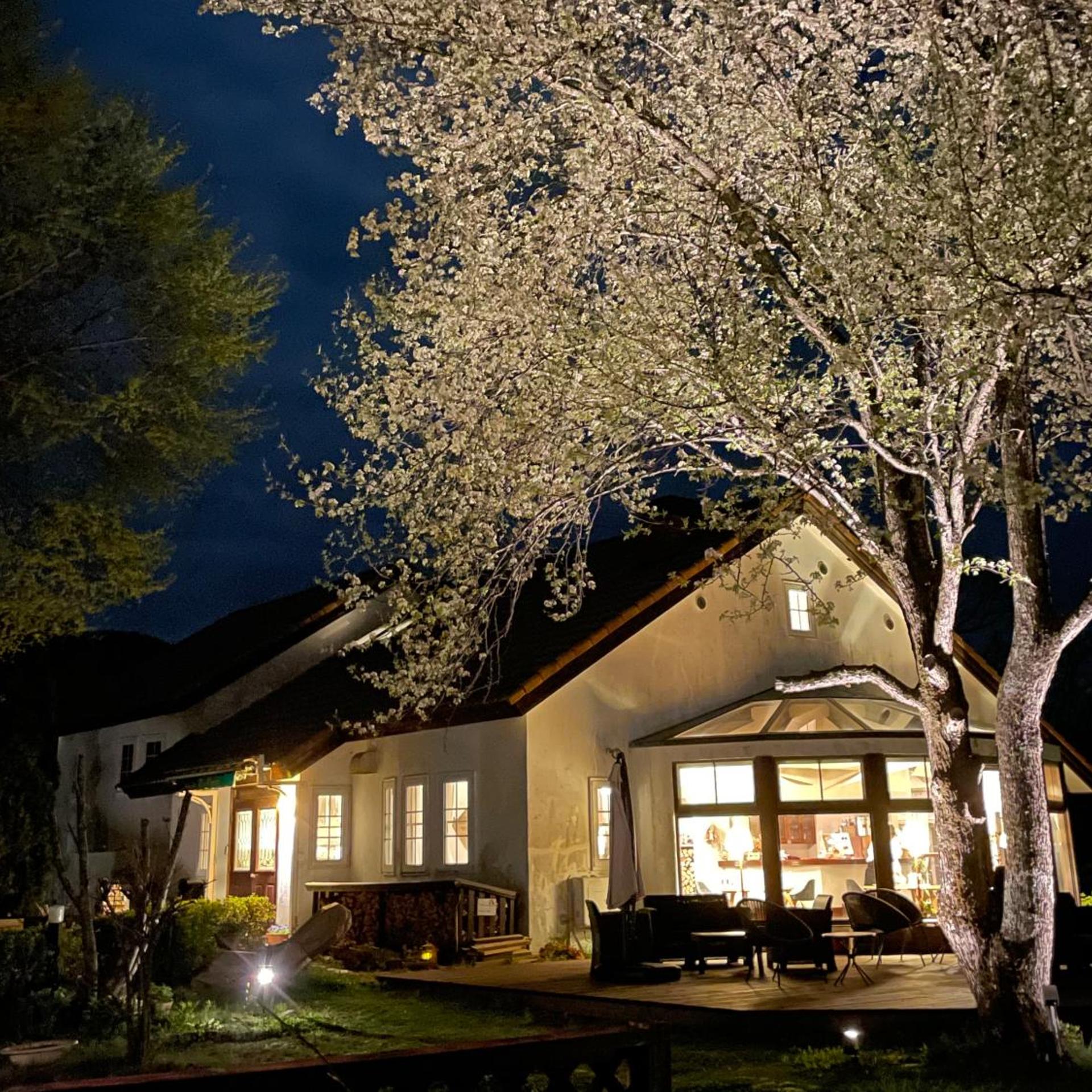 Country Inn The Classic 1/50