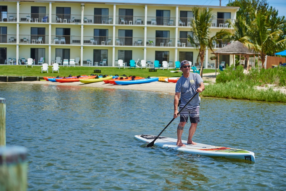 The Bay Resort 31/50