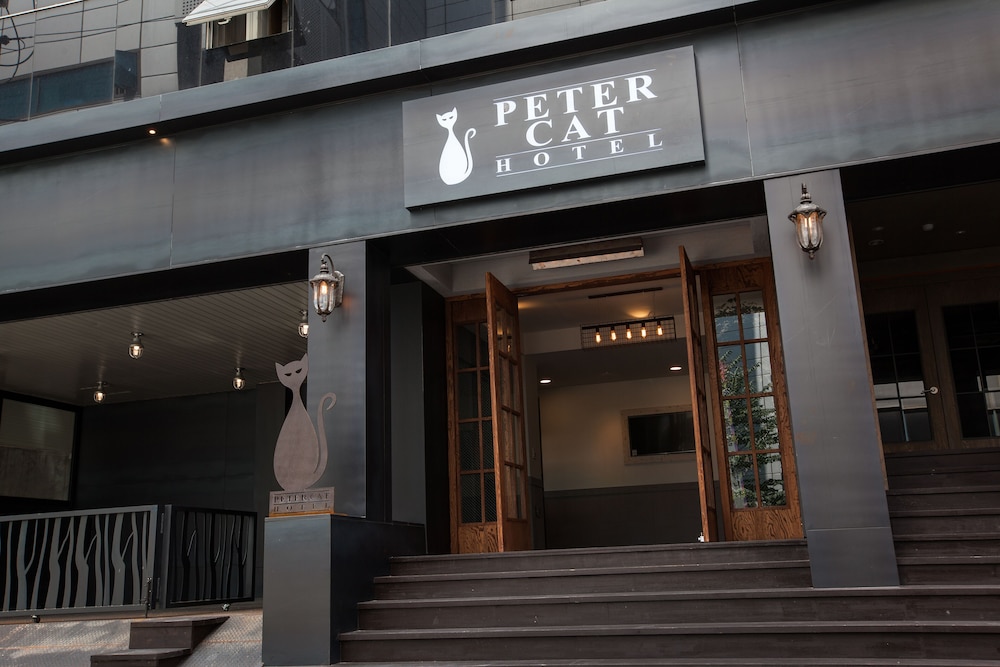 Petercat Hotel Hongdae 4/47