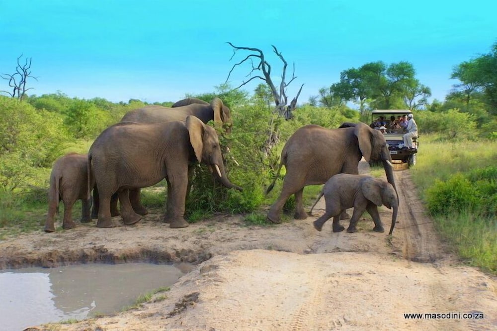Masodini Private Game Lodge 34/47