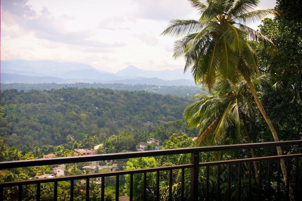 Serenity Hill Oasis 38/45