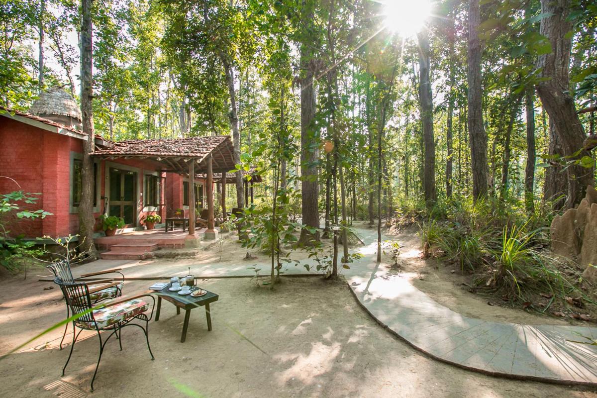 Kanha Jungle Lodge 24/25