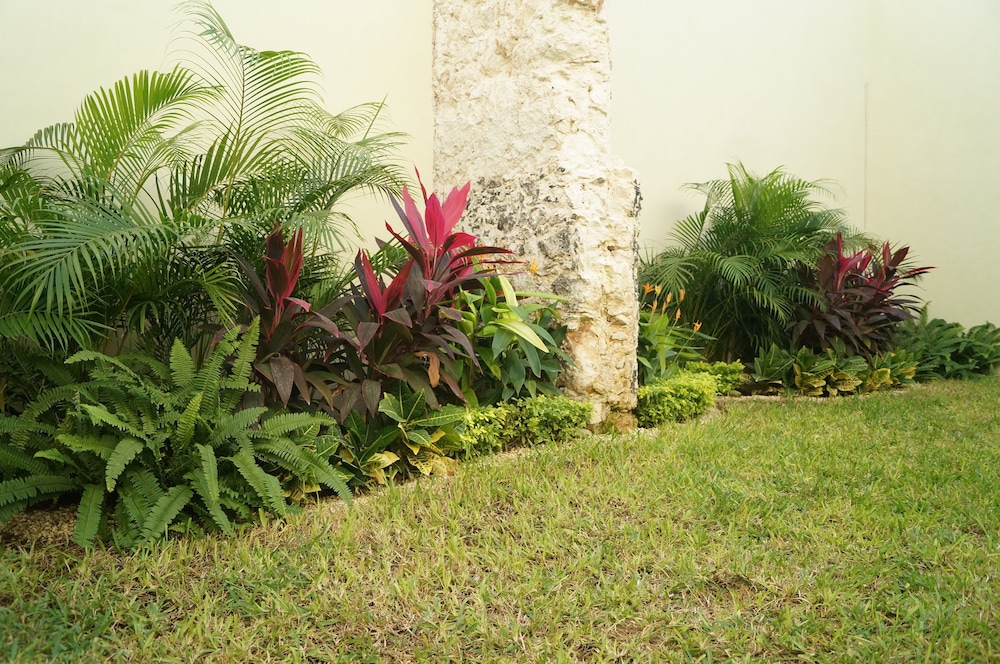 Hotel Casa Palomino 42/50
