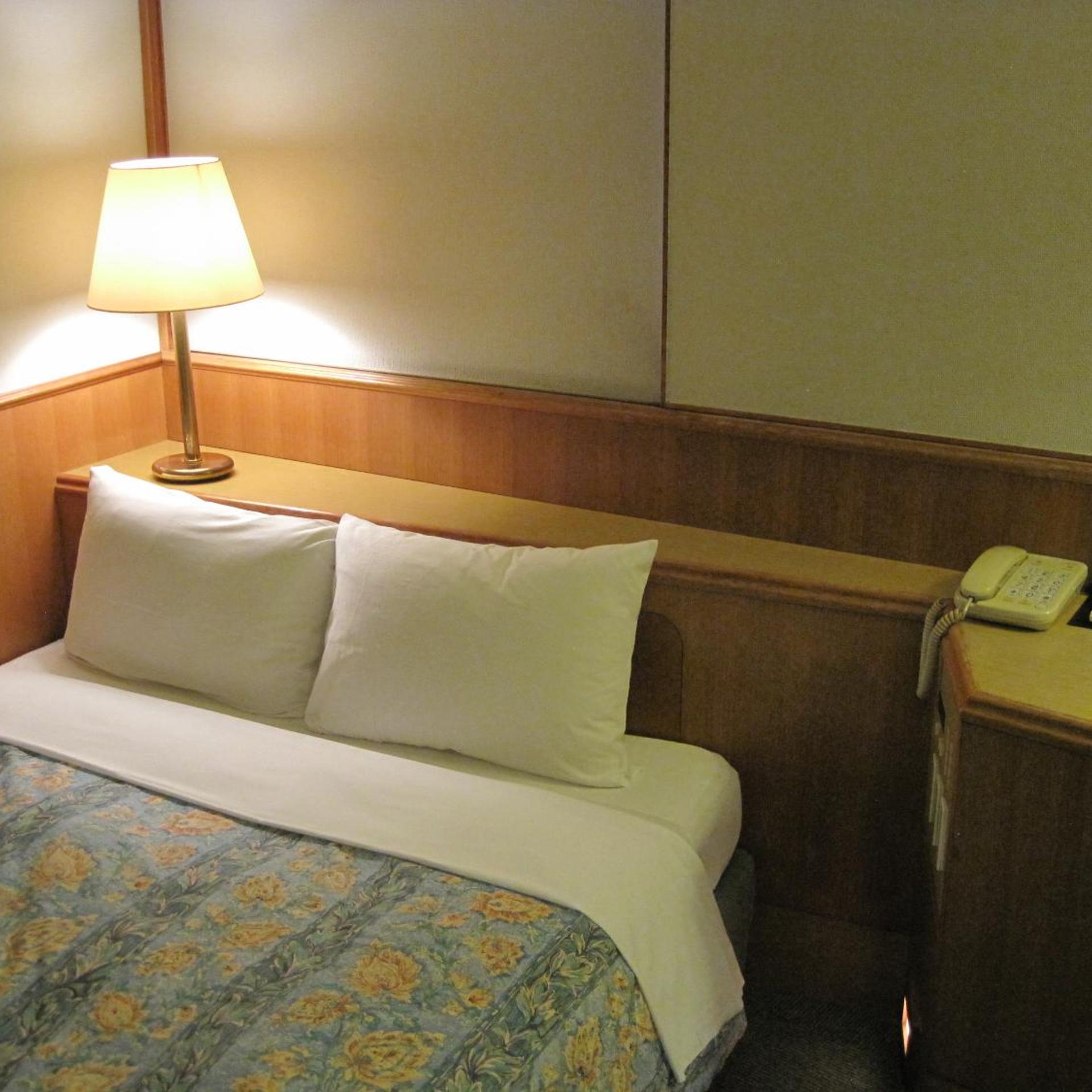 Hyuga Daiichi Hotel 11/29