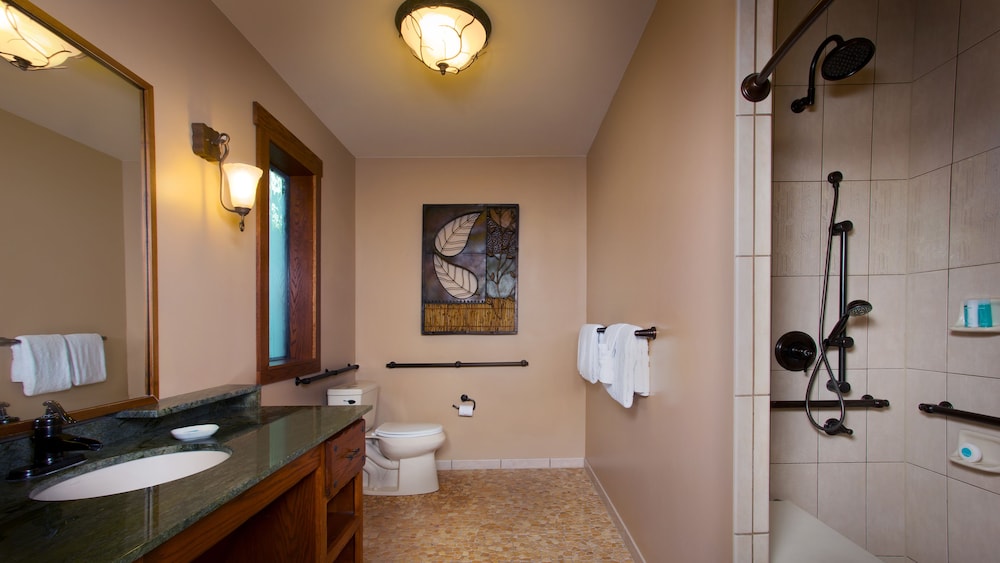 Disneys Saratoga Springs Resort and Spa 45/50