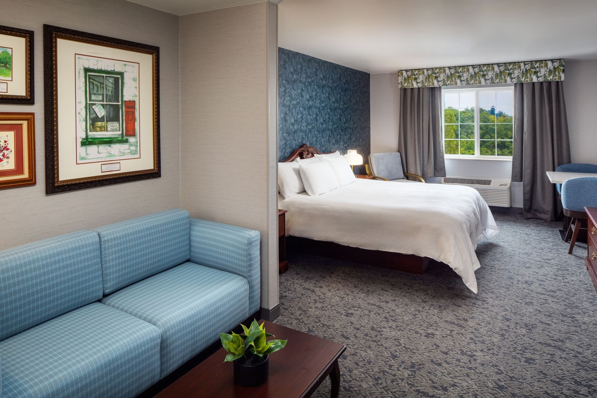Superior, King Bed